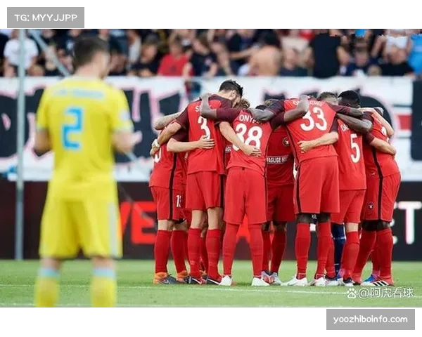 通讯：保加利亚联赛新军的崛起之路，从次级联赛到欧战席位。